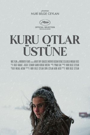 About Dry Grasses's poster