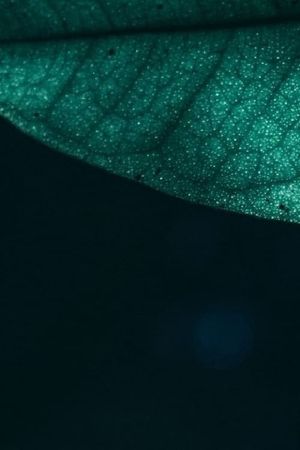 Y/changes?'s poster image