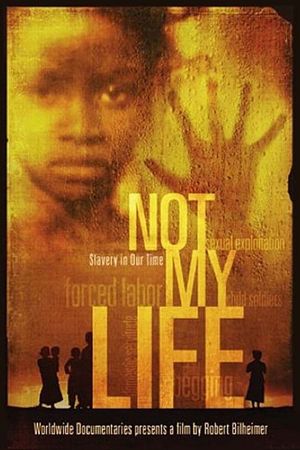 Not My Life's poster