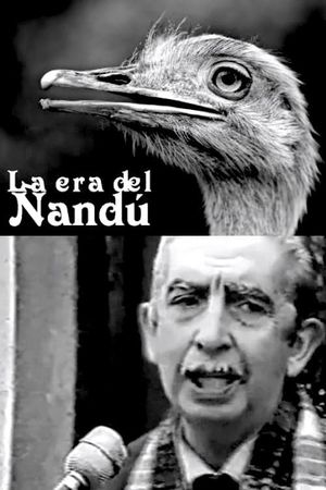La era del ñandú's poster