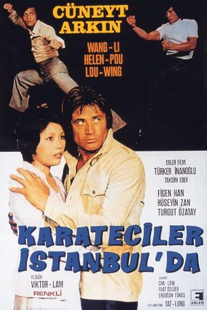 Karateciler Istanbul'da's poster