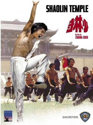 Shaolin Temple's poster