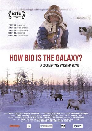 How Big Is the Galaxy?'s poster