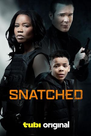 Snatched's poster