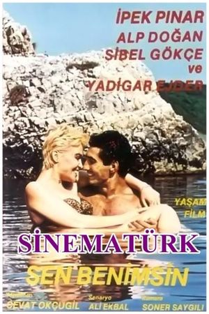 Sen Benimsin's poster