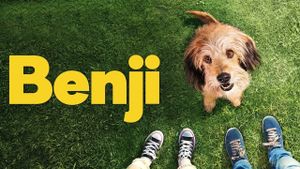 Benji's poster