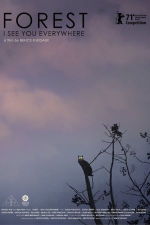 Forest: I See You Everywhere's poster
