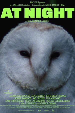 At Night's poster image