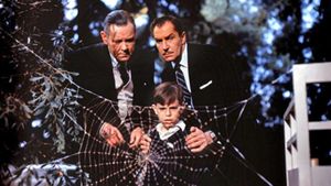 The Fly's poster