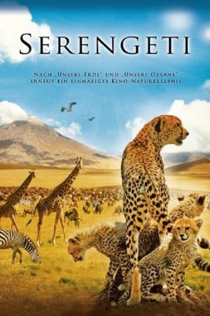 Serengeti's poster