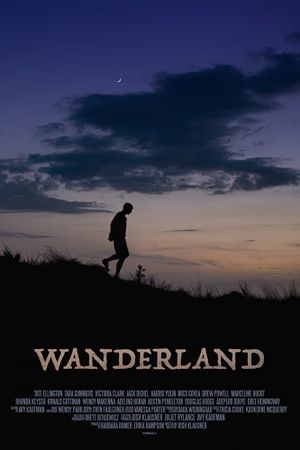 Wanderland's poster