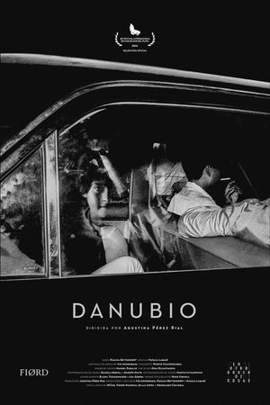 Danube's poster
