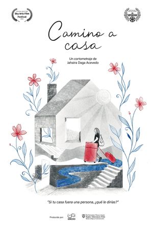 Camino a casa's poster image