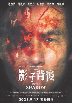 In the Shadow's poster