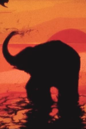 Tracks's poster