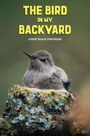 The Bird in My Backyard's poster