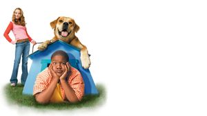 Life Is Ruff's poster