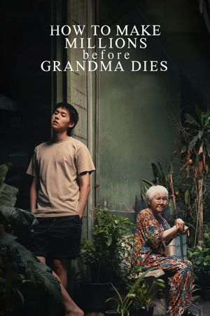 How to Make Millions Before Grandma Dies's poster