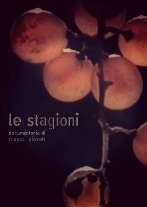 The Seasons's poster