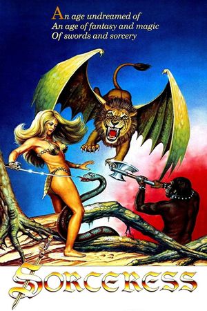 Sorceress's poster