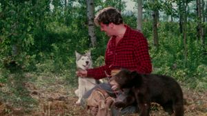 Nikki, Wild Dog of the North's poster