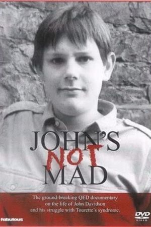 John's Not Mad's poster