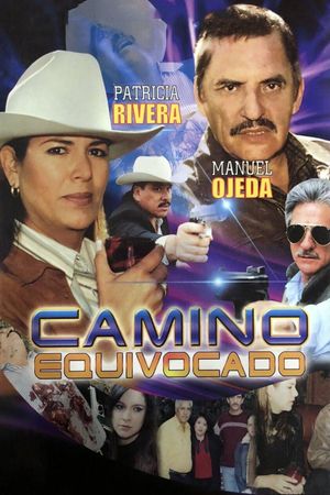 Camino equivocado's poster