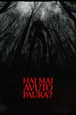 Have You Ever Been Afraid?'s poster