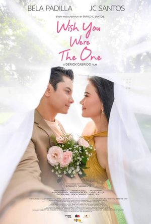 Wish You Were the One's poster image