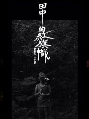Red Flag's poster