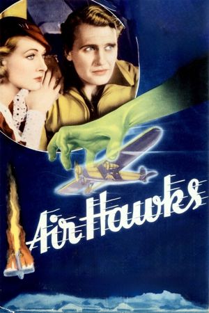 Air Hawks's poster