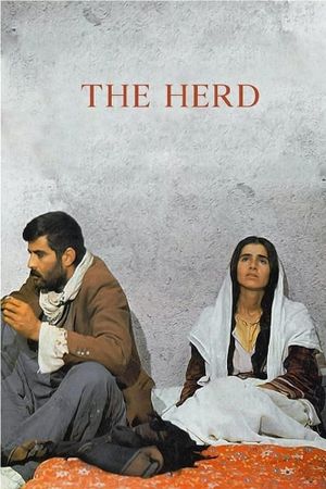 The Herd's poster