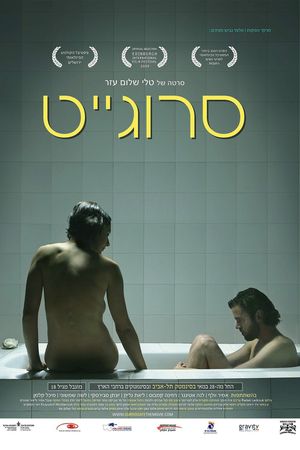 Surrogate's poster