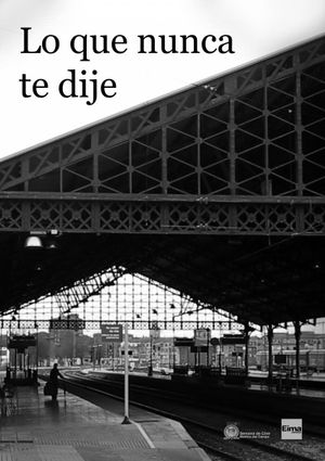 Lo que nunca te dije's poster