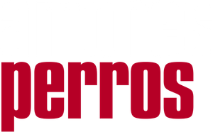 Amores Perros's poster