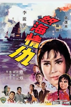 Nu hai qing chou's poster