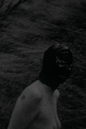 In the Grass's poster