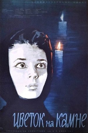 Flower on the Stone's poster