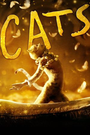 Cats's poster