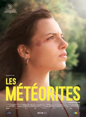Meteorites's poster