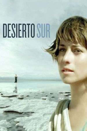 Desierto Sur's poster