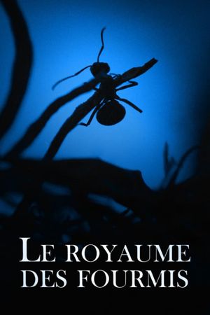 Le Royaume des fourmis's poster image