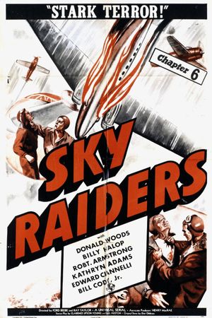 Sky Raiders's poster image