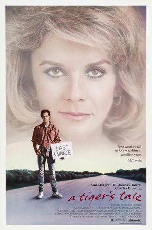 A Tiger's Tale's poster