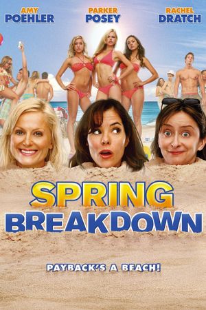 Spring Breakdown's poster