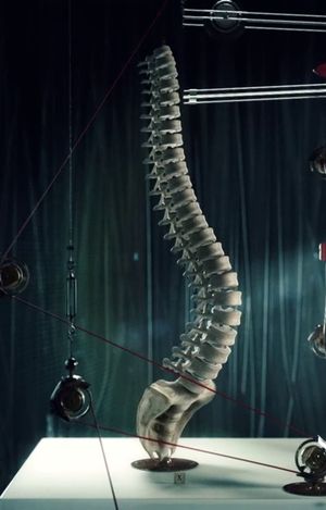 Corpus's poster
