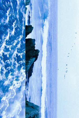 Sea's poster