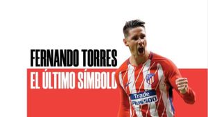 Fernando Torres: El último símbolo's poster