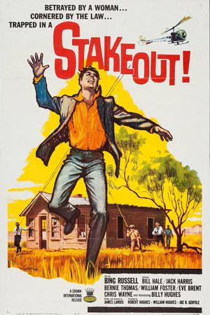 Stakeout!'s poster