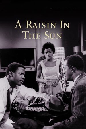 A Raisin in the Sun's poster